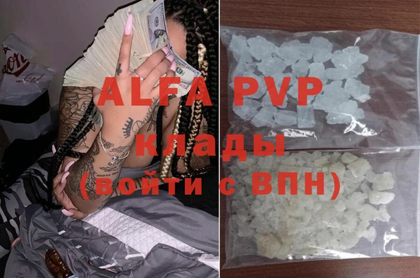 крисы Алзамай