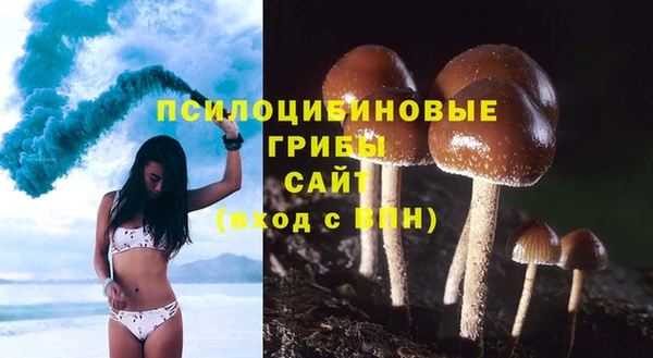 крисы Алзамай