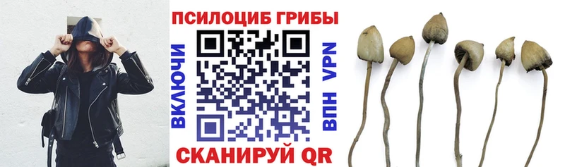 МЕГА ССЫЛКА  Дедовск  Галлюциногенные грибы GOLDEN TEACHER 