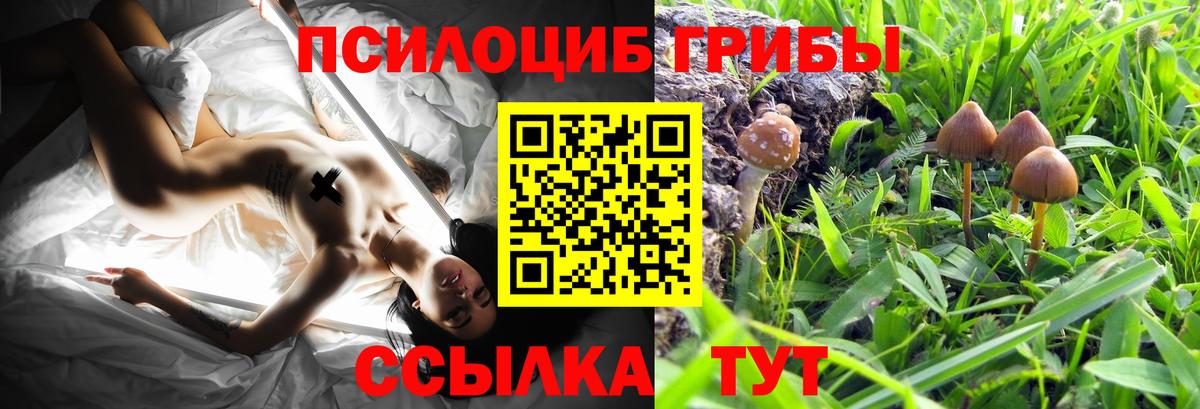 Псилоцибиновые грибы Psilocybine cubensis  Вход с VPN  Дедовск 